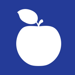 apple icon